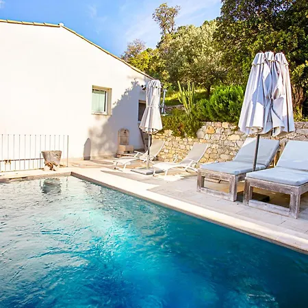 Vue Sur Les Iles D'or *